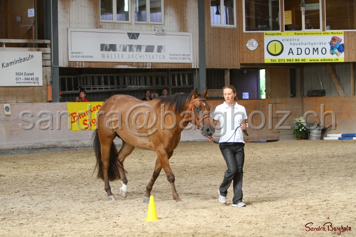 24-ApHC HIH_075.jpg